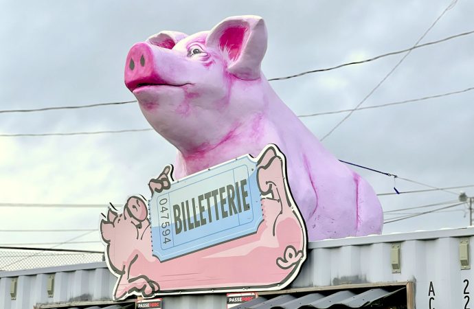 Le Festival du Cochon est officiellement commencé!