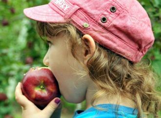 Les Producteurs de pommes du Québec annoncent le lancement officiel de la saison des pommes