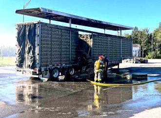 Des centaines de poulets ont péri, grillés dans un incendie de remorque, en bordure de l’Autoroute 20.