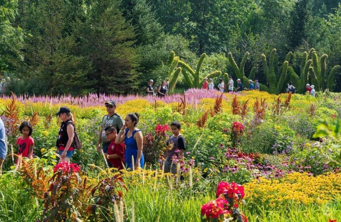 Dimanche gratuit au musée : un engouement indéniable et un nombre de visites impressionnant au Parc Marie-Victorin