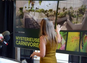 Bilan de mi-saison : record de fréquentation et succès, une saison florissante au Parc Marie-Victorin