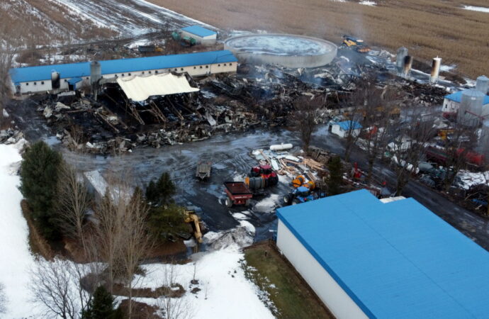 Incendie majeur dans une porcherie : Des centaines de bêtes périssent dans un incendie au Centre-du-Québec