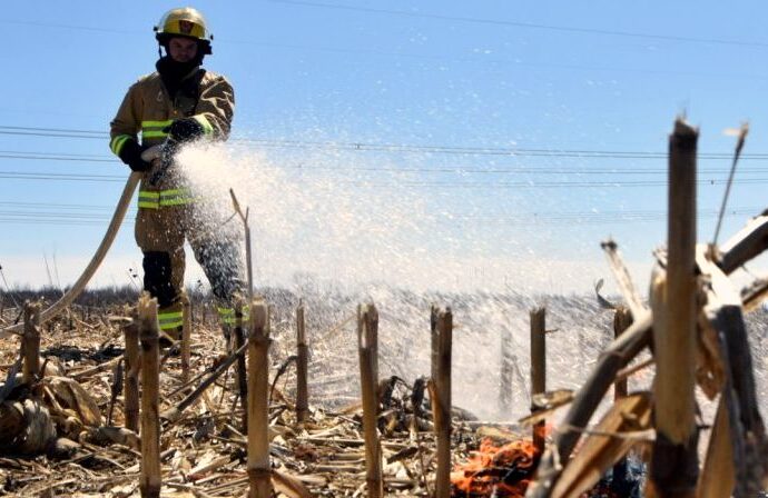 Une quarantaine de pompiers ont combattu un feu de forêt sur le chemin Hemming