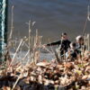 La SQ et la coroner enquêtent sur la découverte d’un corps retrouvé en bordure de la rivière Saint-François