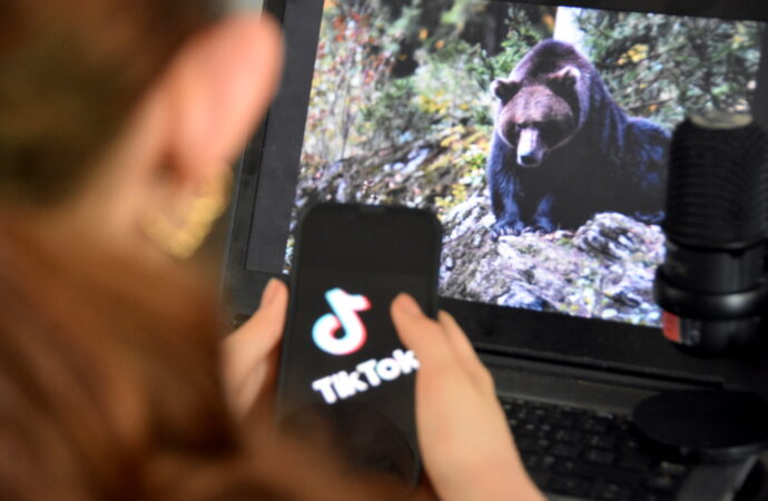 Tendance virale sur TikTok : Choisir l’ours ou l’homme …Oser en parler, la chronique du CALACS La Passerelle
