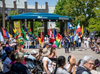 Le flamboyant Festival Allo le Monde vous invite au centre-ville de Drummondville pour des festivités hautes en couleurs !