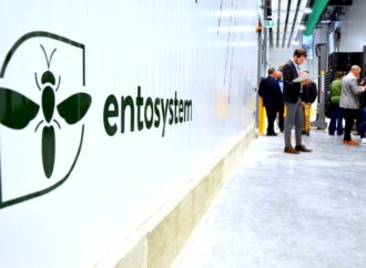 Exportation : Entosystem et Kefiplant finalistes au prestigieux Gala MercadOr Québec