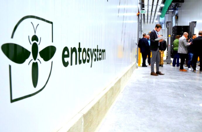 Exportation : Entosystem et Kefiplant finalistes au prestigieux Gala MercadOr Québec