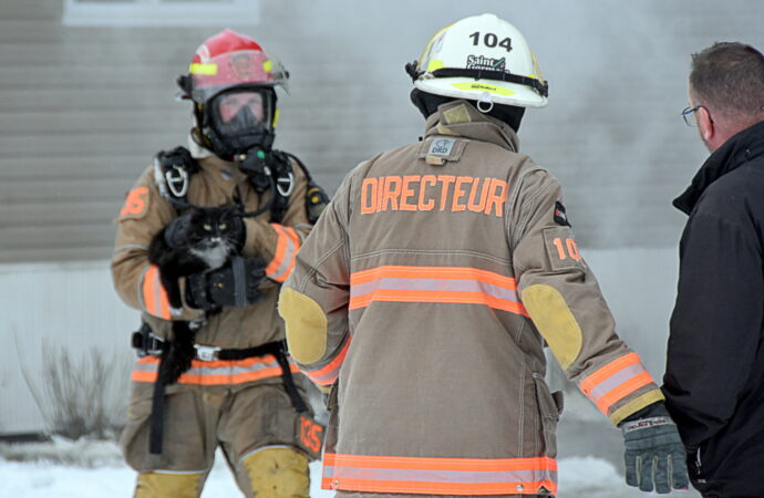 Incendie à Saint-Eugène : les pompiers sauvent un chien et des chats, « un vrai cadeau de Noël ! »