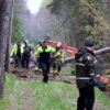 Un septuagénaire grièvement blessé par la chute d’un arbre à Saint-Bonaventure