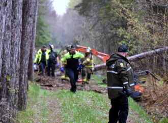 Un septuagénaire grièvement blessé par la chute d’un arbre à Saint-Bonaventure