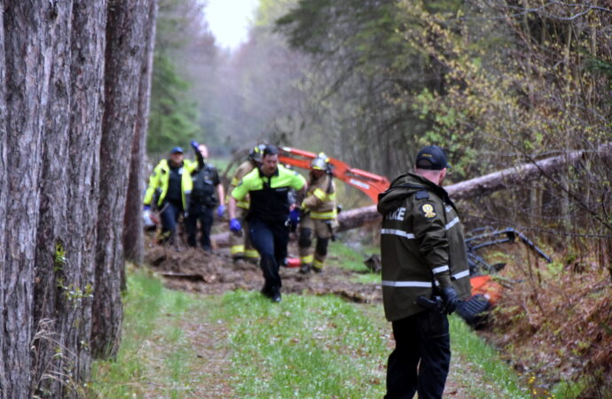 Un septuagénaire grièvement blessé par la chute d’un arbre à Saint-Bonaventure