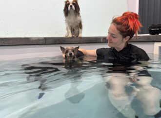 L&rsquo;hydromassage canin : un service maintenant disponible au Centre-du-Québec !