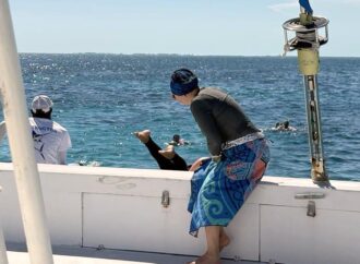 Sauvetage nautique en haute mer : malaise et dérive, une formation de premiers soins peut faire la différence… même en vacances