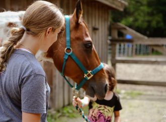 À la rencontre des chevaux : Le Domaine J.M-Cardinal vous ouvre ses portes à Sainte-Brigitte-des-Saults