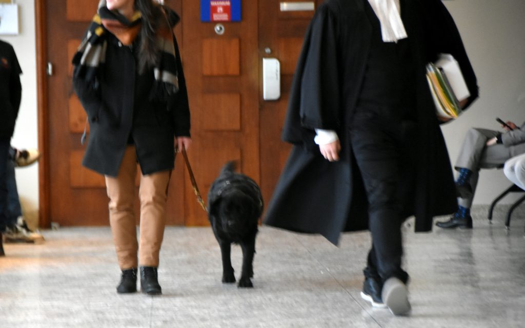 Le procureur de la Couronne, Me Jean-Philippe Garneau au dossier, en présence de lenquêteure de la Sûreté du Québec (SQ) © Photo Éric Beaupré Vingt55. Tous droits réservés (2)