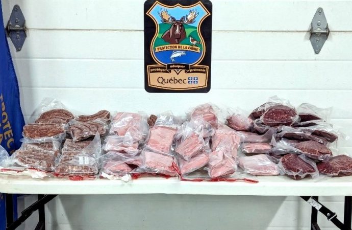 Du braconnage à l’entraide : 104 livres de viande saisies… et redistribuées à des familles dans le besoin