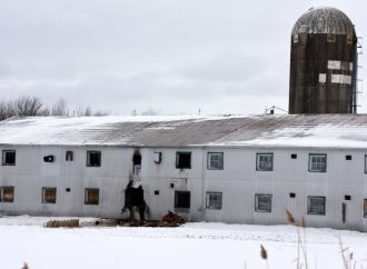 Incendie agricole sur le 7e Rang à Wickham : malgré la rapidité des pompiers, des animaux sont restés piégés par les flammes