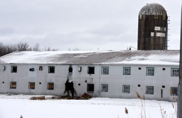 Incendie agricole sur le 7e Rang à Wickham : malgré la rapidité des pompiers, des animaux sont restés piégés par les flammes