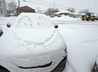 Dame Nature nous fait un clin d’œil hivernal : l’hiver n’a pas dit son dernier mot !