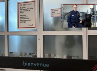 Frontières canadiennes : de nouvelles unités canines pour contrer le fentanyl, les armes et l’immigration illégale
