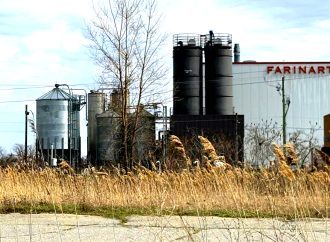 Farinart mise sur le local : une nouvelle gamme de farines québécoises durables pour les boulangers d’ici
