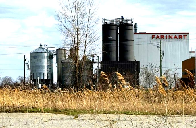 Farinart mise sur le local : une nouvelle gamme de farines québécoises durables pour les boulangers d’ici