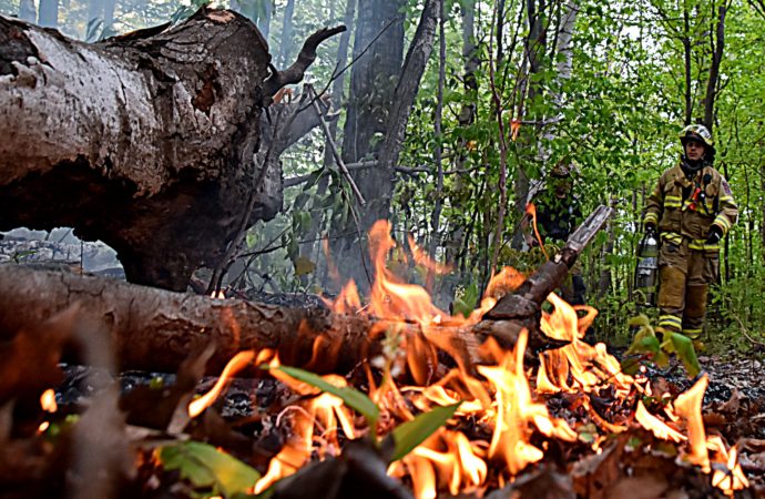 Deux incendies en quelques minutes : intervention rapide des pompiers dans des terrains boisés de Drummondville