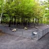 Nouvelles heures au parc canin  : les aboiements dérangent, les chiens devront-ils bientôt être munis de ‘’tuyaux d&rsquo;é&rsquo;jappement’’ à Saint-Germain-de-Grantham