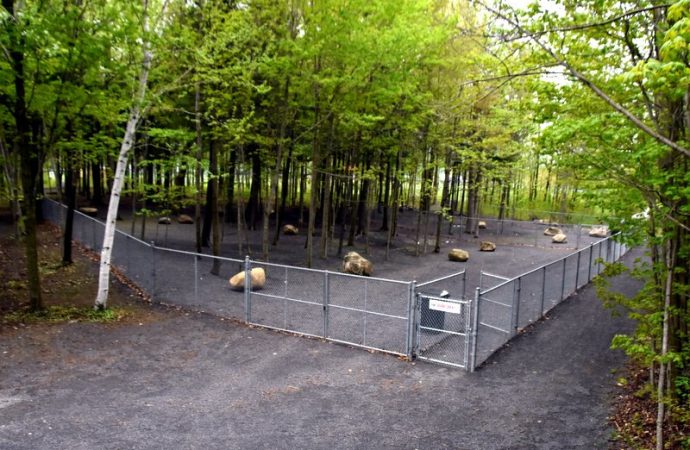 Nouvelles heures au parc canin  : les aboiements dérangent, les chiens devront-ils bientôt être munis de ‘’tuyaux d&rsquo;é&rsquo;jappement’’ à Saint-Germain-de-Grantham
