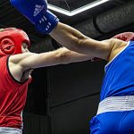 Gala Boxe Créditp photo Davec Clic Charette # Vingt55 Tous droits réservés (7)