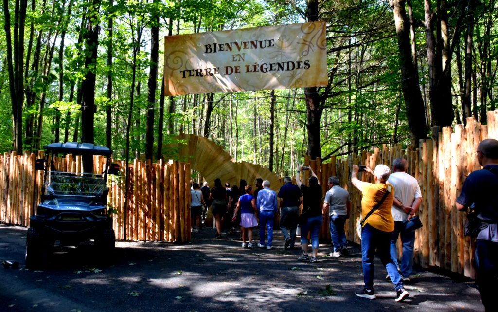 Bois des luntins Drummondville @ Photo Eric Beaupré Vingt55 tous droits réervés (1)