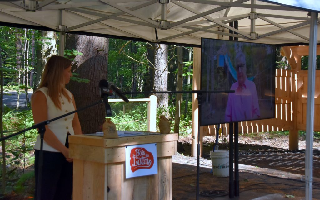 Bois des luntins Drummondville @ Photo Eric Beaupré Vingt55 tous droits réervés (11)