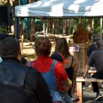 Bois des luntins Drummondville @ Photo Eric Beaupré Vingt55 tous droits réervés (22)