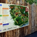 Bois des luntins Drummondville @ Photo Eric Beaupré Vingt55 tous droits réervés (25)