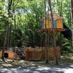 Bois des luntins Drummondville @ Photo Eric Beaupré Vingt55 tous droits réervés (26)