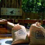 Bois des luntins Drummondville @ Photo Eric Beaupré Vingt55 tous droits réervés (37)