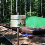 Bois des luntins Drummondville @ Photo Eric Beaupré Vingt55 tous droits réervés (41)