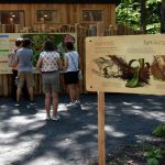 Bois des luntins Drummondville @ Photo Eric Beaupré Vingt55 tous droits réervés (42)