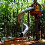 Bois des luntins Drummondville @ Photo Eric Beaupré Vingt55 tous droits réervés (43)
