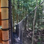 Bois des luntins Drummondville @ Photo Eric Beaupré Vingt55 tous droits réervés (46)