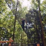 Bois des luntins Drummondville @ Photo Eric Beaupré Vingt55 tous droits réervés (48)
