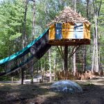 Bois des luntins Drummondville @ Photo Eric Beaupré Vingt55 tous droits réervés (49)