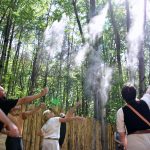 Bois des luntins Drummondville @ Photo Eric Beaupré Vingt55 tous droits réervés (7)