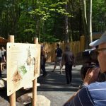 Bois des luntins Drummondville @ Photo Eric Beaupré Vingt55 tous droits réervés (8)