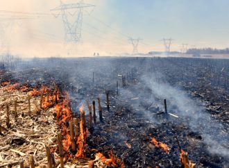 Feu de champ à Wickham : plusieurs équipements agricoles endommagés par les flammes