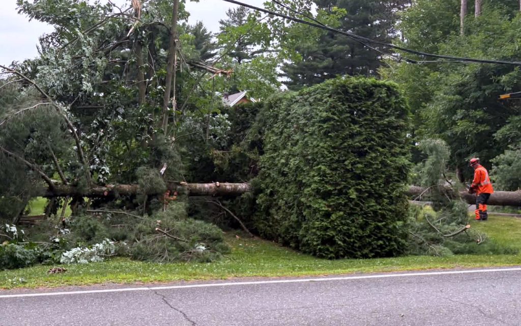 Sur le chemin Hemming, les microrafales ont déraciné un arbre d'une centaine de pieds, qui s'est abattu en travers de l'entrée d'une résidence @ Crédit photo Eric Beaupré Vingt55 Tous droits réser (4)