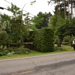 Sur le chemin Hemming, les microrafales ont déraciné un arbre d'une centaine de pieds, qui s'est abattu en travers de l'entrée d'une résidence @ Crédit photo Eric Beaupré Vingt55 Tous droits réser (6)