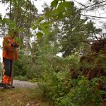 Sur le chemin Hemming, les microrafales ont déraciné un arbre d'une centaine de pieds, qui s'est abattu en travers de l'entrée d'une résidence @ Crédit photo Eric Beaupré Vingt55 Tous droits réser (7)