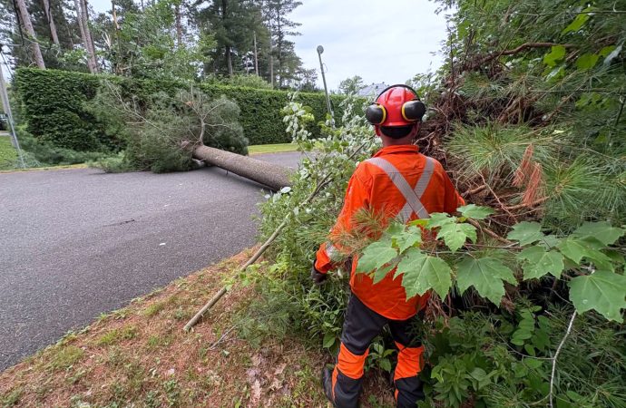 Veille de tornade : des microrafales déracinent des arbres à L’Avenir et sur le chemin Hemming au Centre-du-Québec